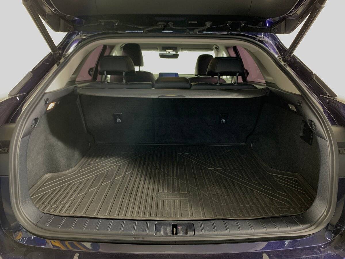 Lexus RX 200t, 2016 Фото №19